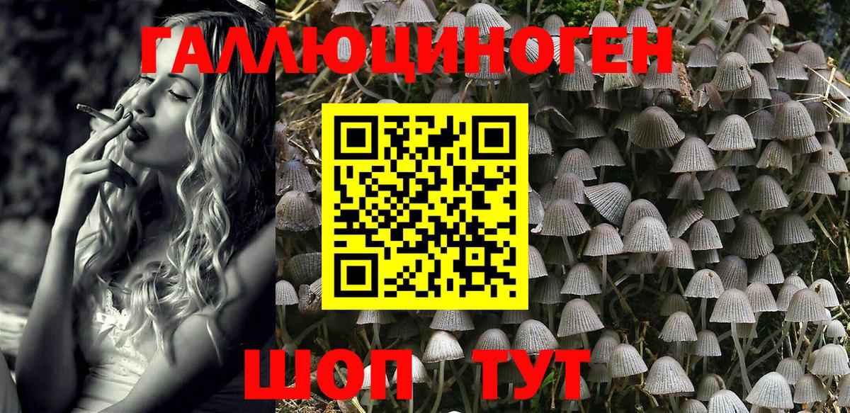 Псилоцибиновые грибы Psilocybine cubensis Коркино
